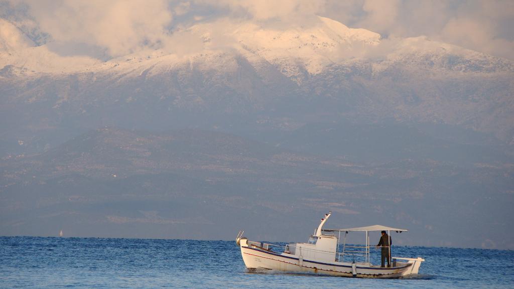 Drakopanagiotaki Rooms Agios Andreas  Oda fotoğraf